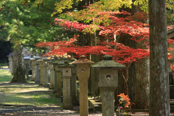 高野山の紅葉