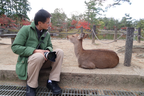 奈良公園