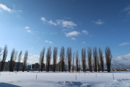 冬の札幌