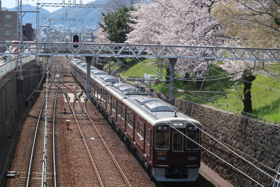 オンライン診療