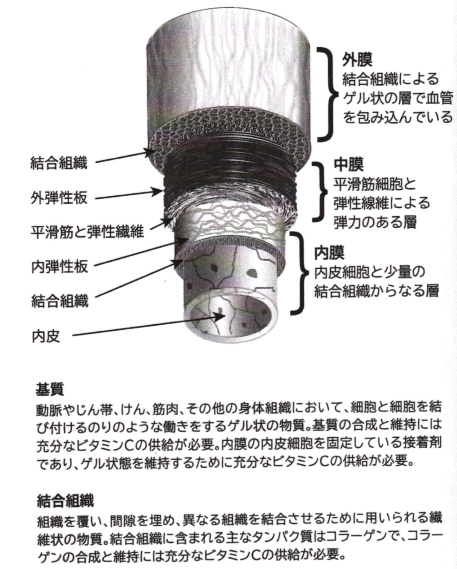 ビタミンCと心臓病