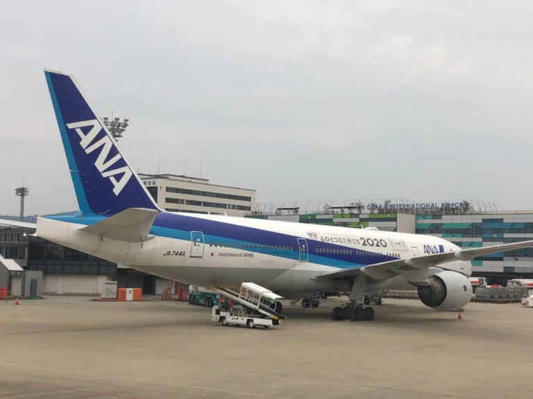 熱がでました