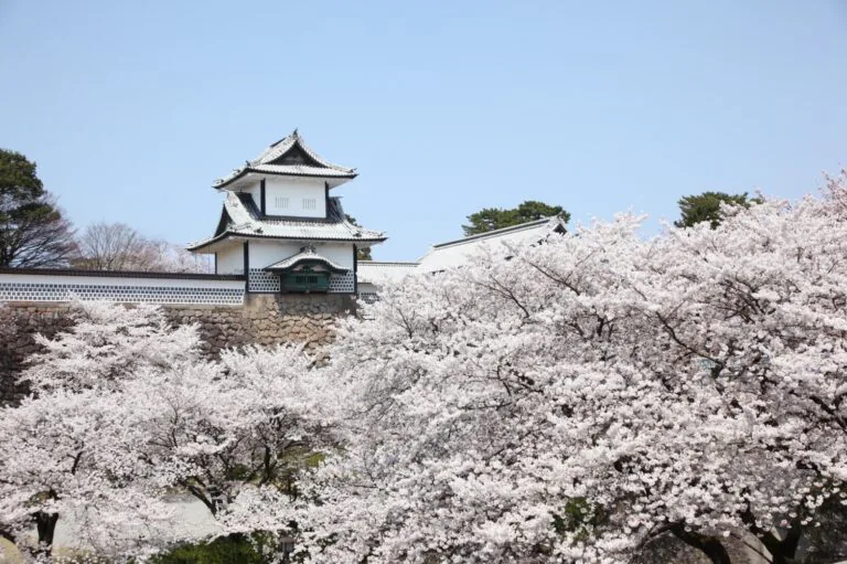 糖尿病じゃないのに糖尿病の薬？