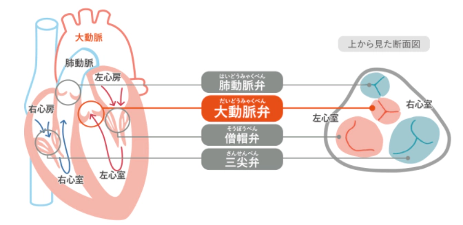 聴診器で何が診断できるの?