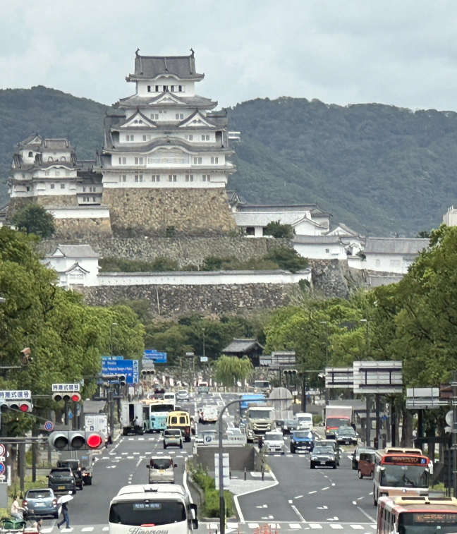 癌か炎症か、内科か外科か？