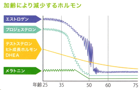 男と女のホルモンの違い