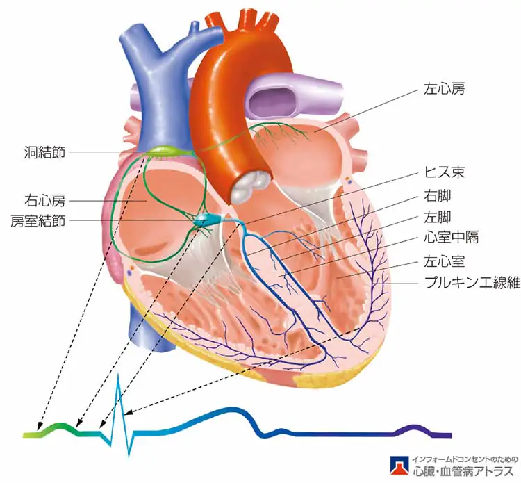 心房細動とは