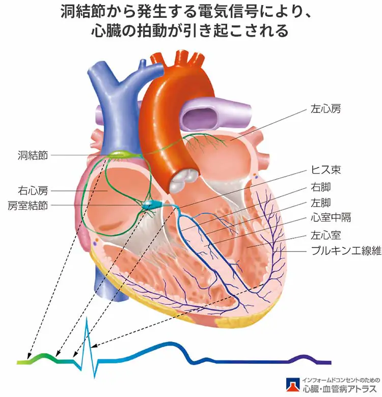 不整脈とは