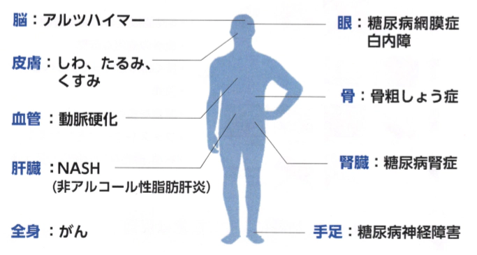 糖化について