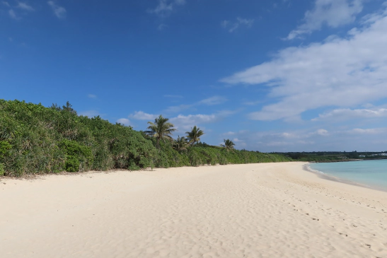 新しい肺炎球菌ワクチン